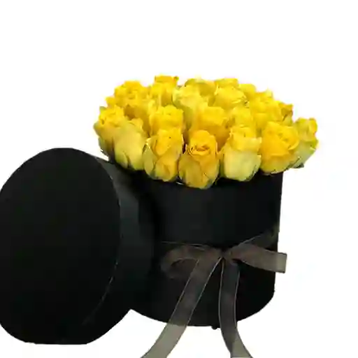 Rosas Amarillas En Caja Redonda