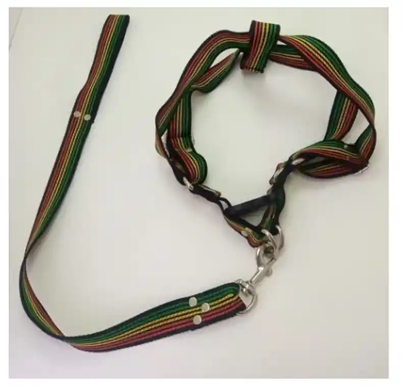 Arnés Pechera Paracaídas Collar Perro Rastafari M, L