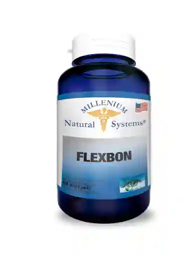 Flexbon 60 Perlas Systems