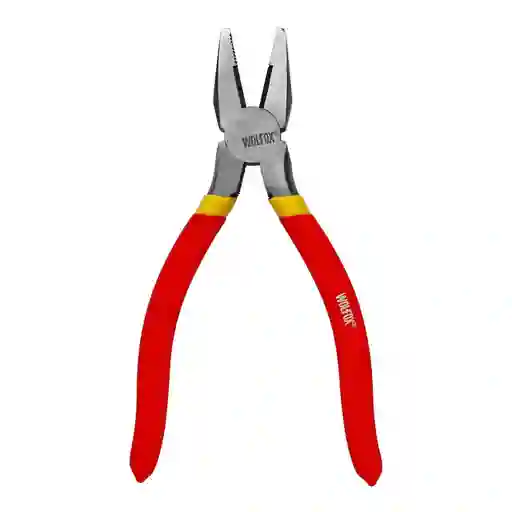 Pinza