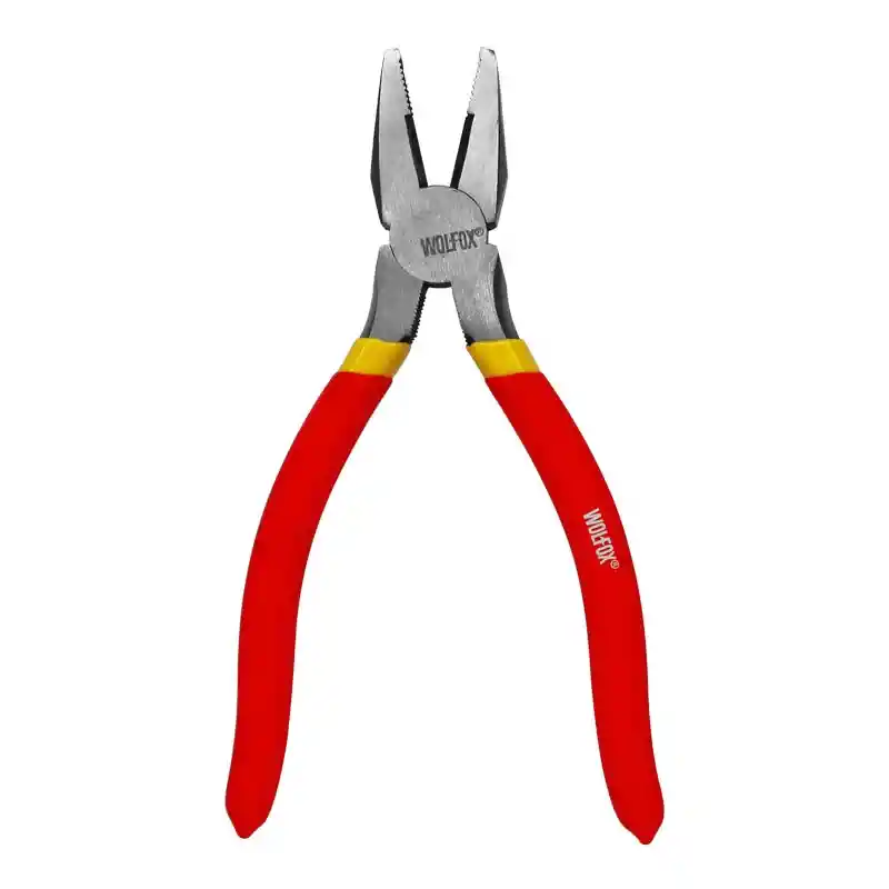 Pinza