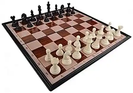 Ajedrez Magnetico Brain Chess 33 Cm