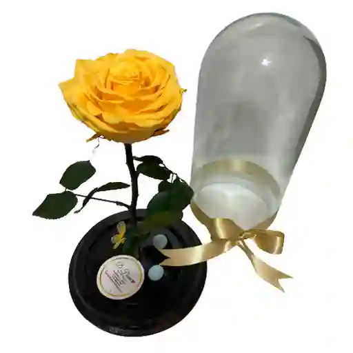 Rosa Eterna Amarilla