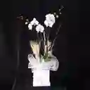 Orquídea Decorada Para Regalo 5