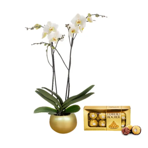 Orquídea Regalo 2 Tallos Blanca+ Matera Cerámica Luxury+chocolates Ferrero