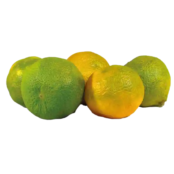 Limón Mandarino Orgánico