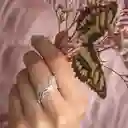 Anillo Juntas Mariposas En Filigrana Plateados