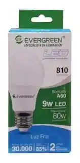 Evergreen Bombillo Led A60 9W