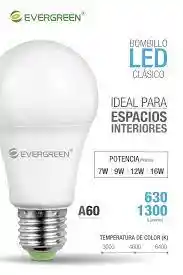 Evergreen Bombillo Led A60 9W