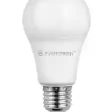 Evergreen Bombillo Led A60 9W