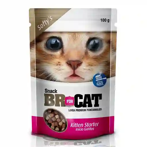 Galletas Br For Cat Kitten Starter X 100gr