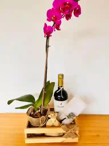 Kit Orquidea+vino