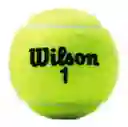 Wilson Tubo De Pelotas Bolas De Tenispelotas Championship Extra Duty