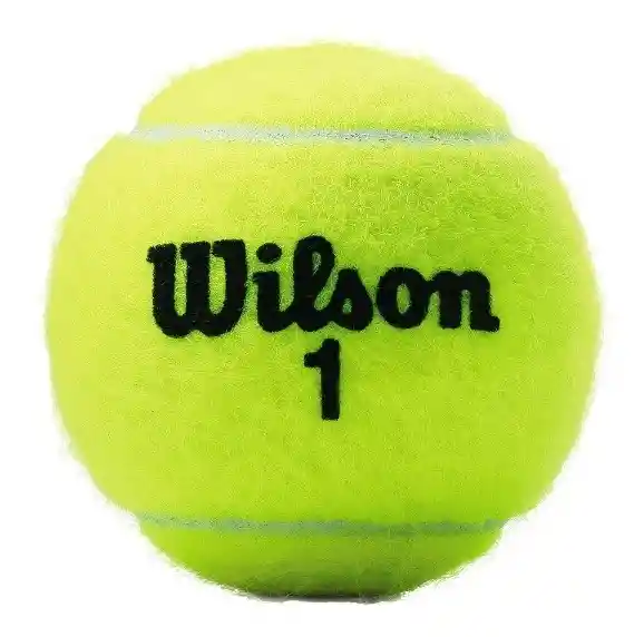 Wilson Tubo De Pelotas Bolas De Tenispelotas Championship Extra Duty