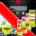 Wilson Tubo De Pelotas Bolas De Tenispelotas Championship Extra Duty