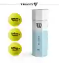 Wilson Tubo De 3 Pelotas De Tenis Triniti