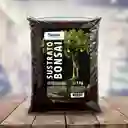 Sustrato Bonsai 1 Kilo