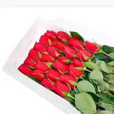 Caja De 24 Rosas Rojas