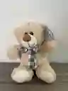 Osito Con Moñito