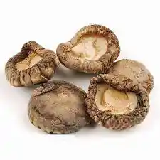 Hongos Shiitake Prodelagro X250gr