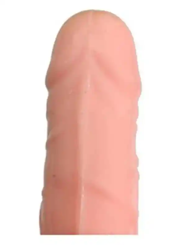 Pene Dildo Consolador Vibrador Piel 22 Cms 10 Velocidades