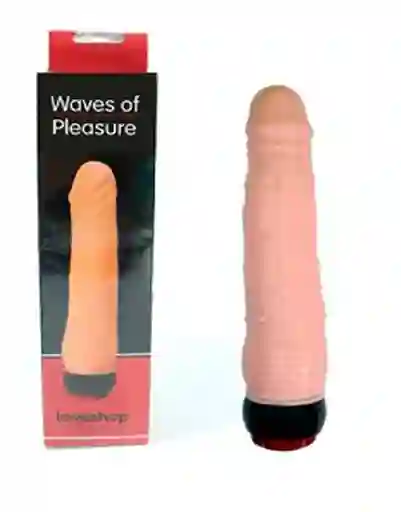 Pene Dildo Consolador Vibrador Piel 22 Cms 10 Velocidades