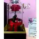 Rosa Preservada Roja En Urna Regalo