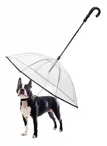 Sombrilla Especial Para Perros
