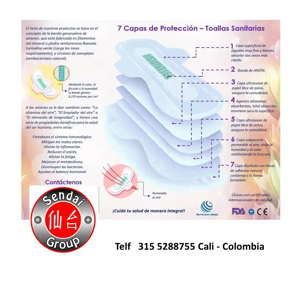 Toallas Higienicas Con Aniones Dia (paquete X 10) Terapeutica