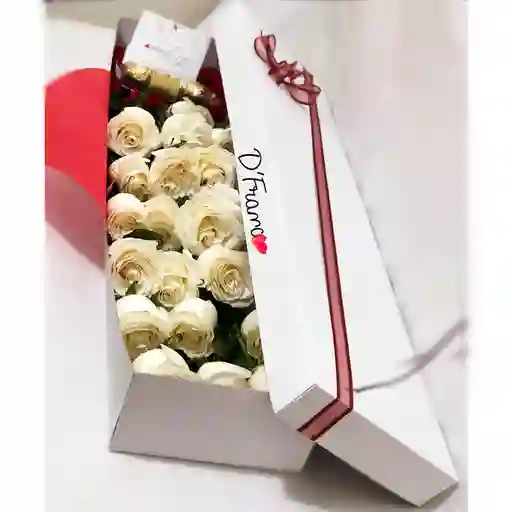 Caja De Rosas X24