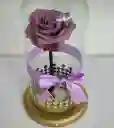 Luxury Rose Color Yel 02