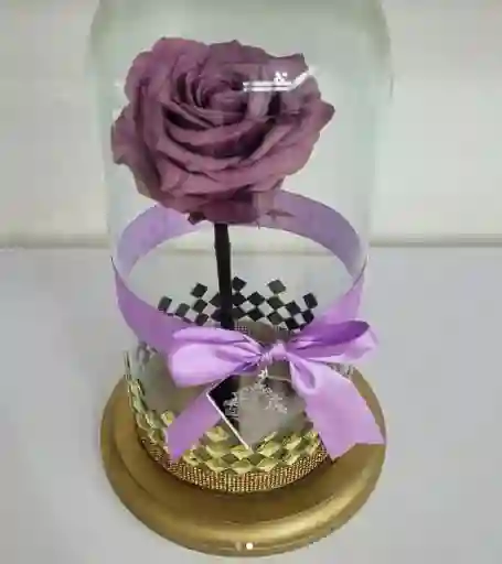 Luxury Rose Color Yel 02