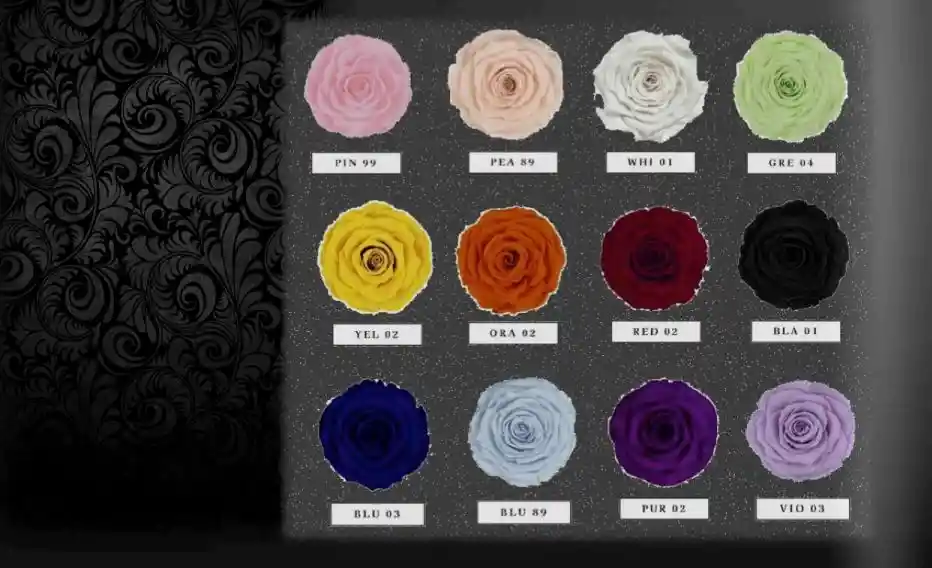 Instanbul Box Color Blu 03