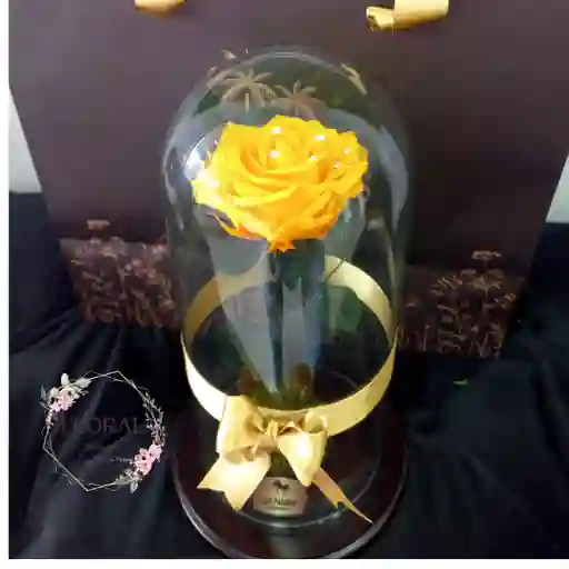 Rosa Preservada Amarillo En Urna