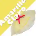 Tutu Falda Amarillo Claro Niña Talla 2-4 Ballet Moda Infantil