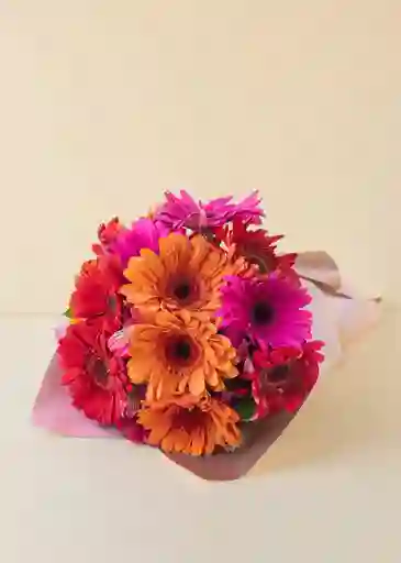 Gerberas De Colores