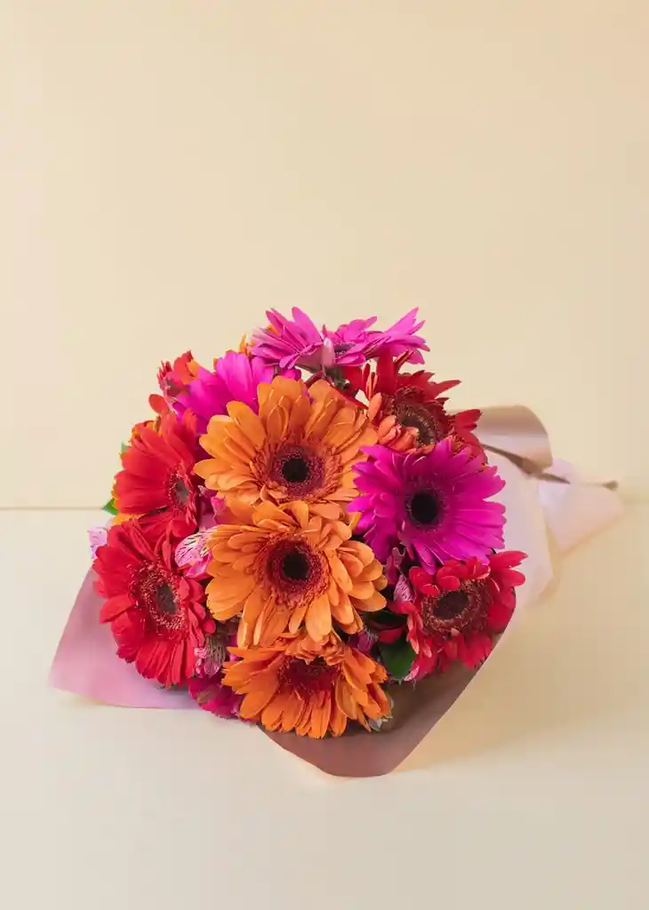 Gerberas De Colores