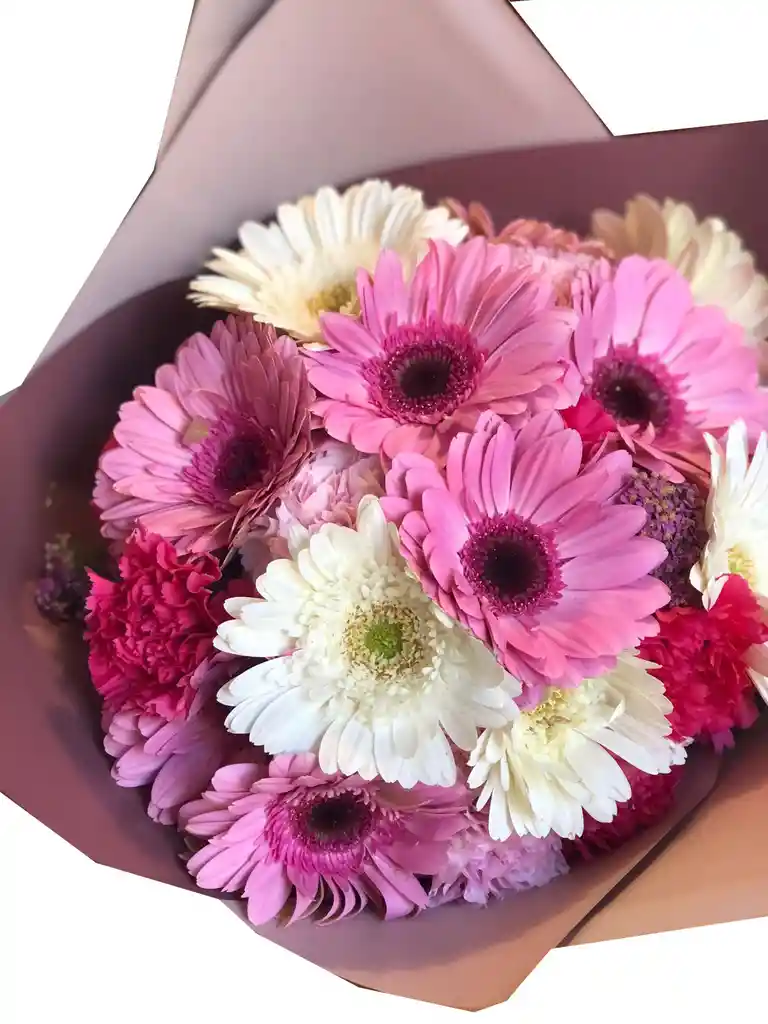 Gerberas Y Clavel Explosión Rosa