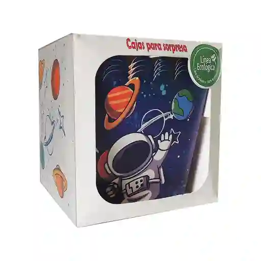 Set De Cajas Para Sorpresa Ecologicas Del Espacio