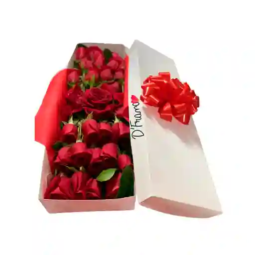 Caja De Rosas X24