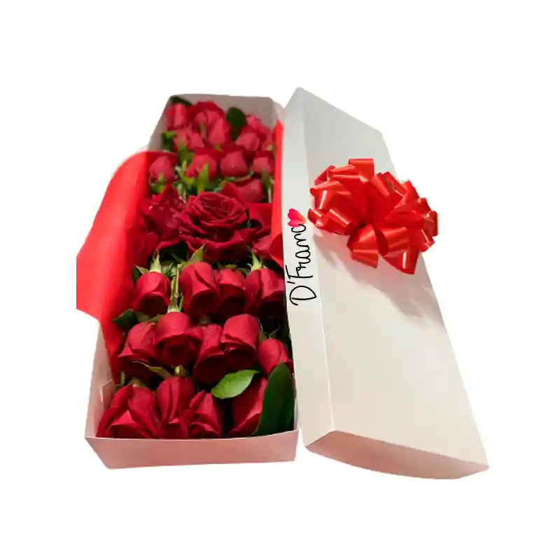 Caja De Rosas X24