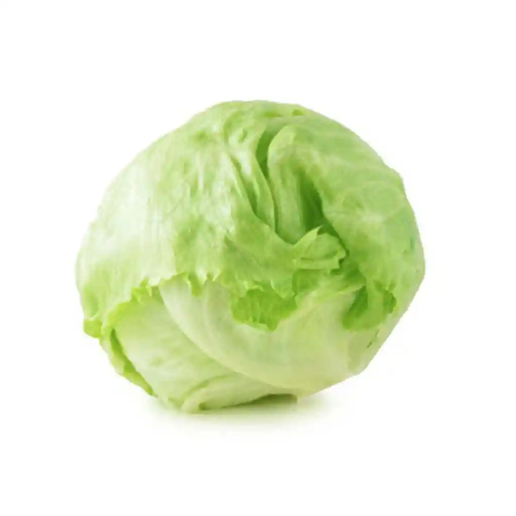 Lechuga Batavia