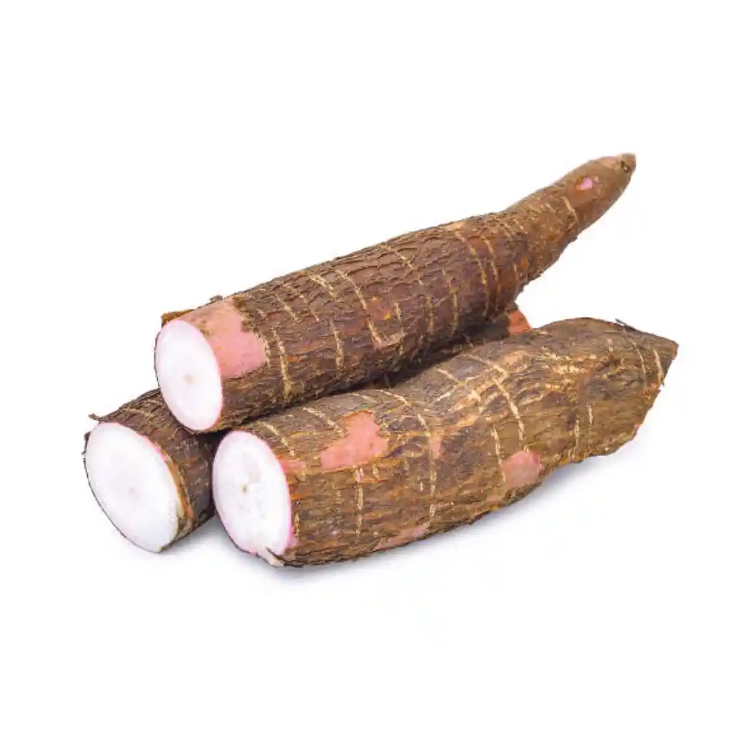 Yuca