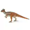  Figuras Dinosaurios Pachycep Halo Saurus Coleccion Ninos Ninas 