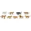 Tubos De Animales Grandes Felinos Colección Niños Y Niñas
