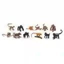Tubos De Animales Monos Y Simios Colección Niños Y Niñas