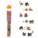 Tubos De Animales Monos Y Simios Colección Niños Y Niñas