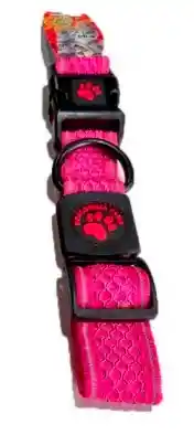 Collar Para Perro Atomic Rosa Talla L-2,5cm/cuello42-66