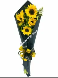 Girasoles Elegancia