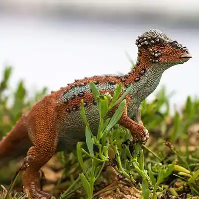  Figuras Dinosaurios Pachycep Halo Saurus Coleccion Ninos Ninas 